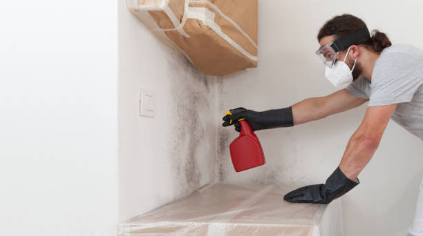 Professional Attic Mold Remediation technician working in Mears, VA