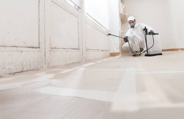 24/7 Emergency Attic Mold Remediation experts in Mears, VA